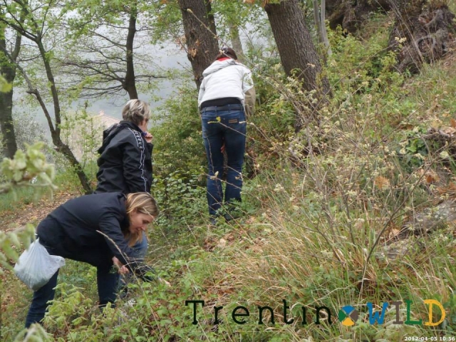  Descubre la naturaleza con trekking en Trentino 